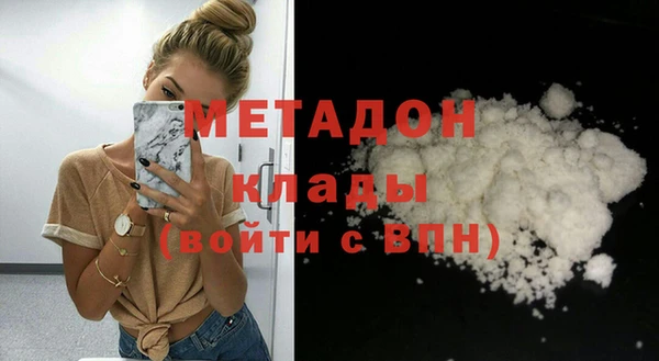 прущие грибы Елабуга