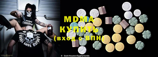 прущие грибы Елабуга