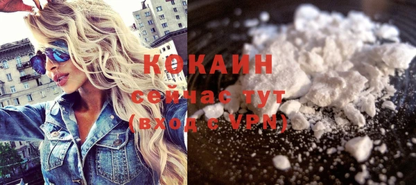 прущие грибы Елабуга