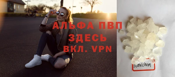 прущие грибы Елабуга