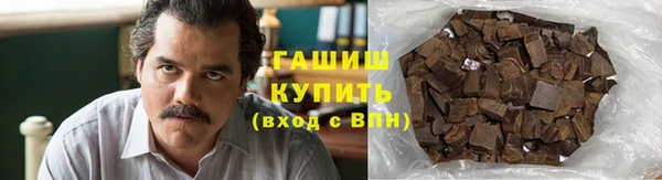 прущие грибы Елабуга
