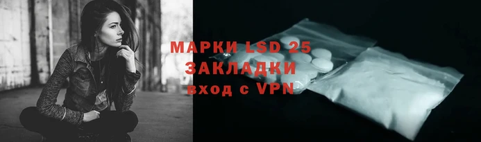 прущие грибы Елабуга