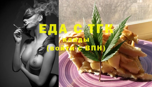 прущие грибы Елабуга