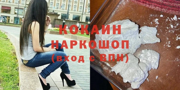 прущие грибы Елабуга