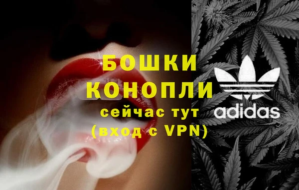 прущие грибы Елабуга