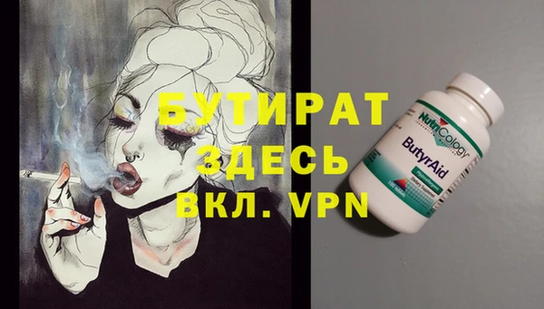 прущие грибы Елабуга