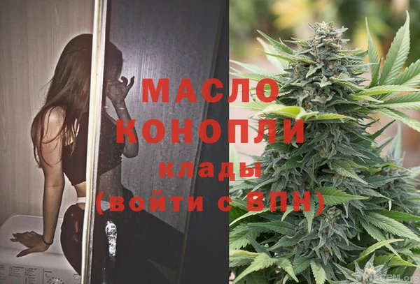 молекула духа Елизово