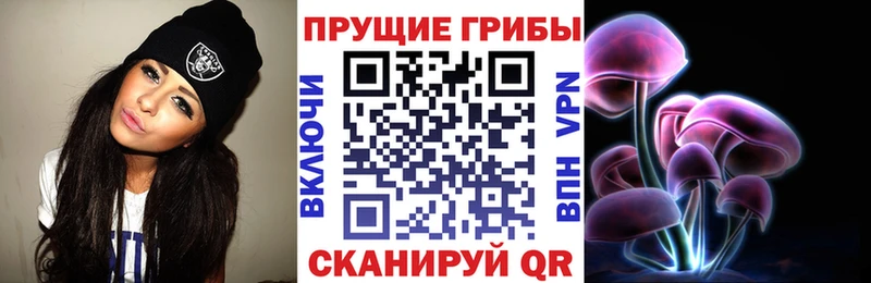 магазин  наркотиков  мега ТОР  Псилоцибиновые грибы ЛСД  Карасук 