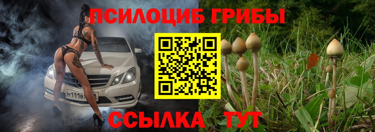 Псилоцибиновые грибы ЛСД  Галлюциногенные грибы мухоморы  Карасук  закладка  Вход с VPN 