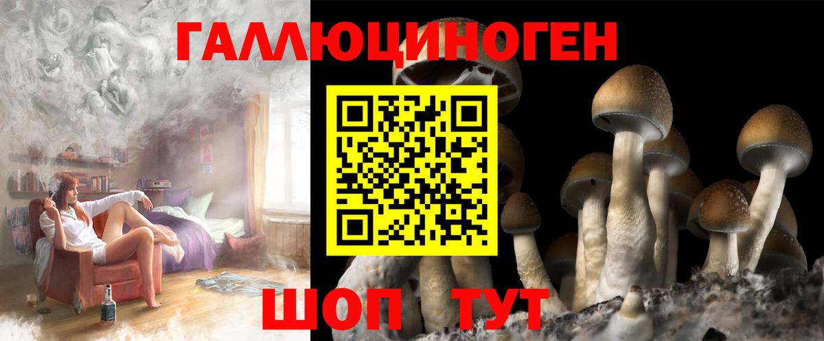 Галлюциногенные грибы Cubensis Карасук