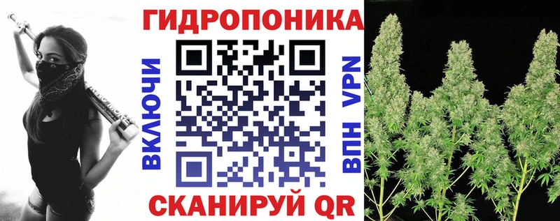 блэк спрут ссылка цены Карасук Канабис тримм