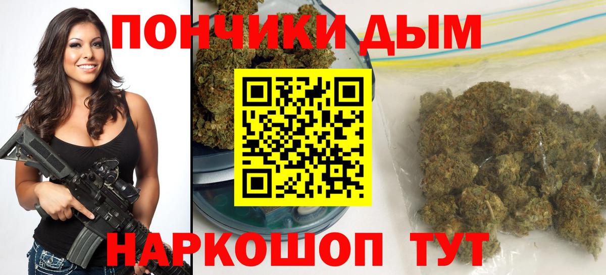 Канабис сатива Карасук
